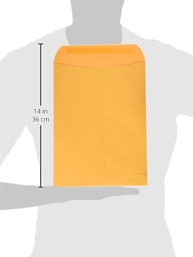 Quality Park 9" x 12" Self-Seal Catalog Envelopes, for Mailing, Organizing and Storage, Brown Kraft, Heavy 28-lb Paper, (QUA44562) 100 Count (Pack of 5)