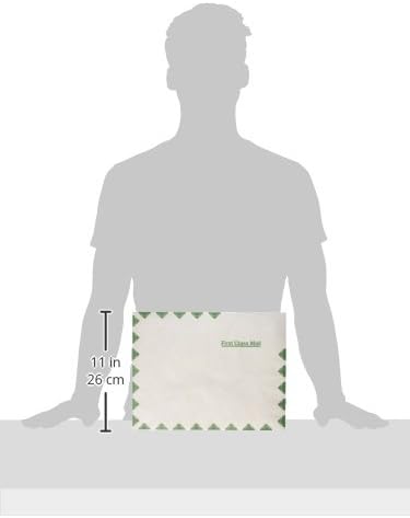 Quality Park R1590 Survivor Tyvek USPS First Class Mailer, 10 x 13, White, Pack of 500