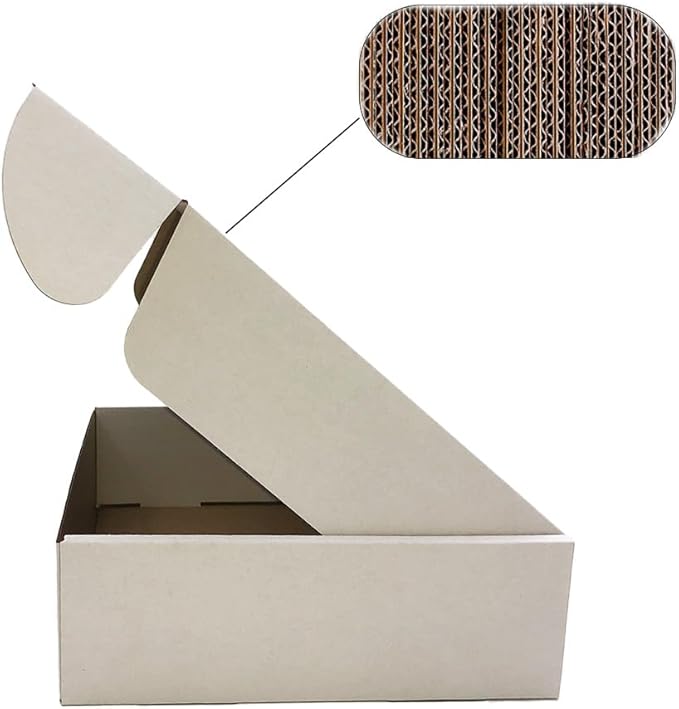 Shipping Boxes 11x9x3 inch Set of 25,White Corrugated Cardboard Box for Mailing Literature Mailer Small Business Shipping Packing Gifts Craft Digest Size Book Giving Products (11x9 x3 Inches)