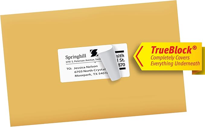 Avery Shipping Labels, 2" x 4", White, 250 Labels | Sure Feed Technology | Pack of 2 | Model 8163