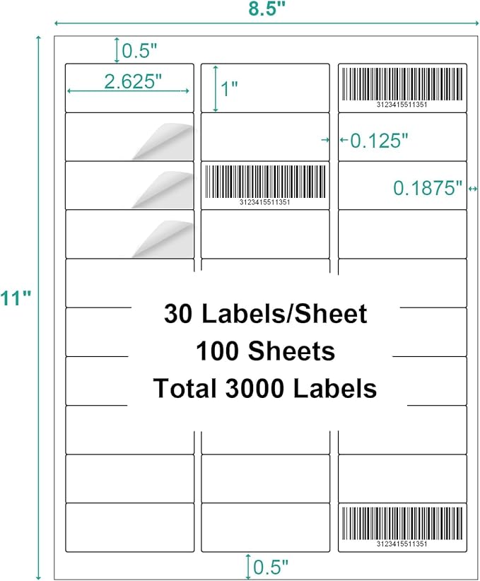 100 Sheets 3000 Labels Address Labels Sticker for Laser & Inkjet Printer, 1" x 2-5/8" White Blank Printable Shipping Address Labels, Strong Adhesive for FBA Label, Easy to Peel
