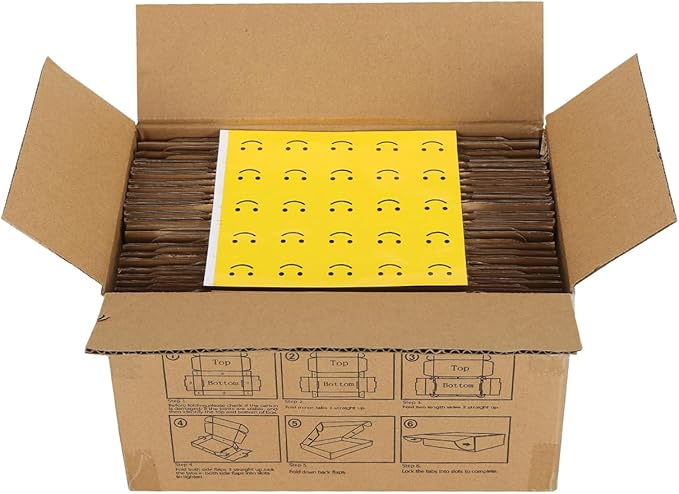 HORLIMER 6x4x2 inches Shipping Boxes Set of 25, Brown Corrugated Cardboard Box Literature Mailer
