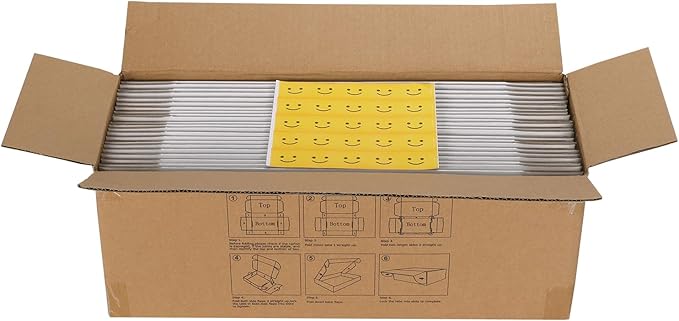 HORLIMER 12x4x2 inches Shipping Boxes Set of 25, White Corrugated Cardboard Box Literature Mailer