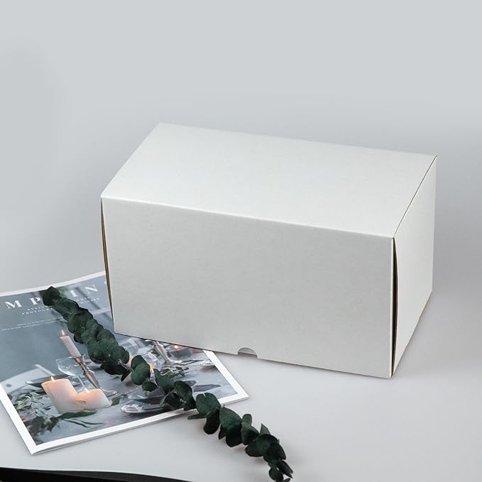 11x6x6 Inches Shipping Boxes Set of 20, White Corrugated Cardboard Box Literature Mailer for Packing Small Business