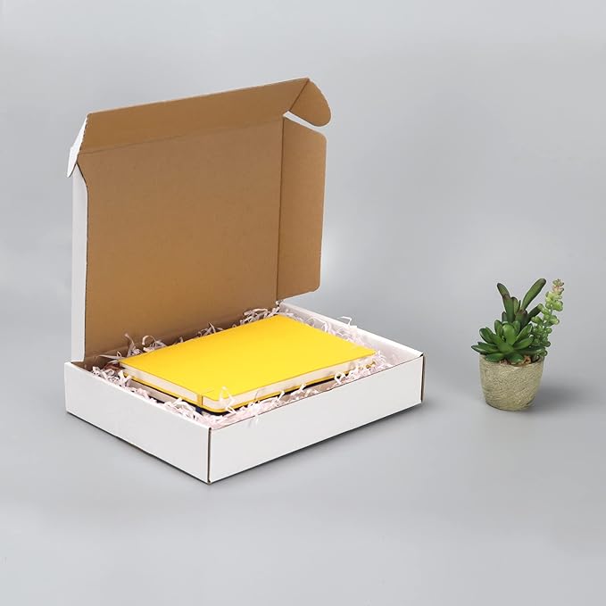 HORLIMER 11x8x2 inches Shipping Boxes Set of 25, White Corrugated Cardboard Box Literature Mailer