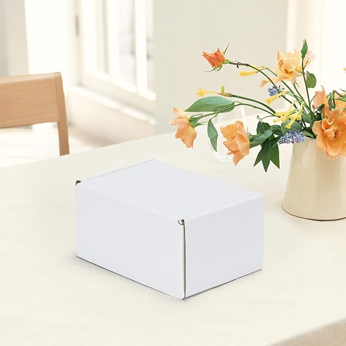HORLIMER 6x4x3 inches Shipping Boxes Set of 50, White Corrugated Cardboard Box Literature Mailer