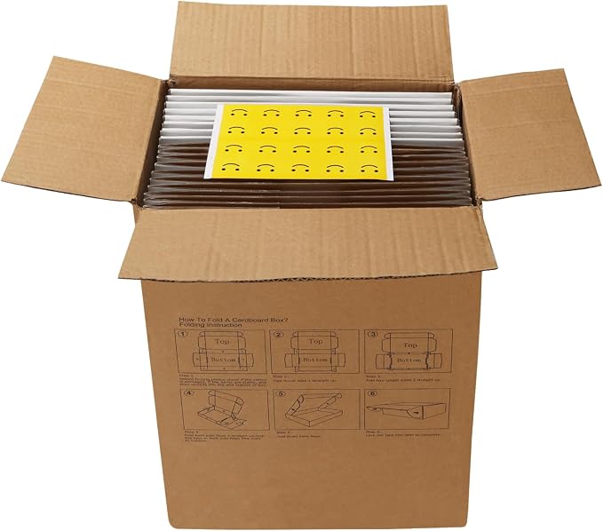 HORLIMER 10x8x4 inches Shipping Boxes Set of 20, White Corrugated Cardboard Box Literature Mailer