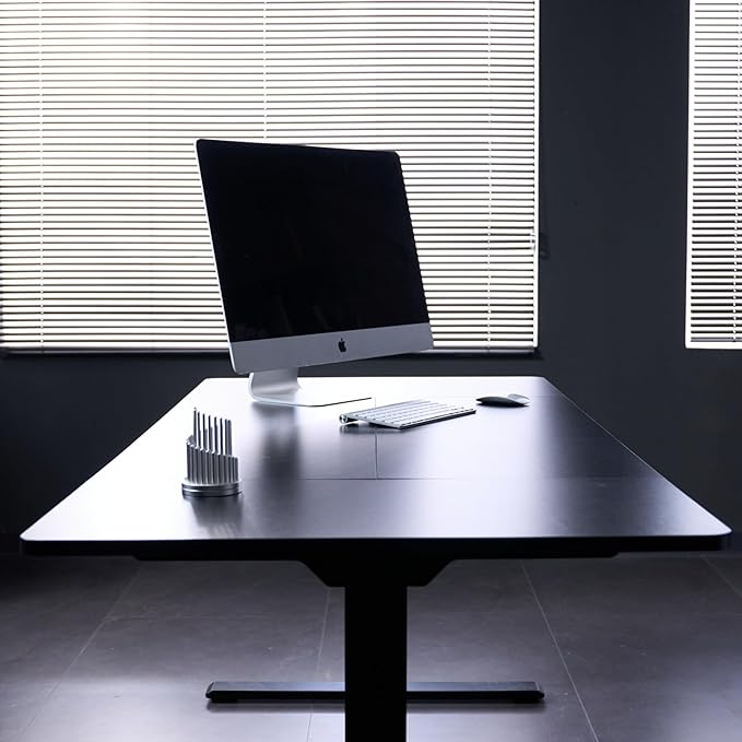 FLEXISPOT 63"x28" Large Dual Motor Electric Standing Desk, Black - 198 LBS Heavy-Duty Capacity, Ideal for Home Office, Creative Studio, or Multi-Monitor Setup