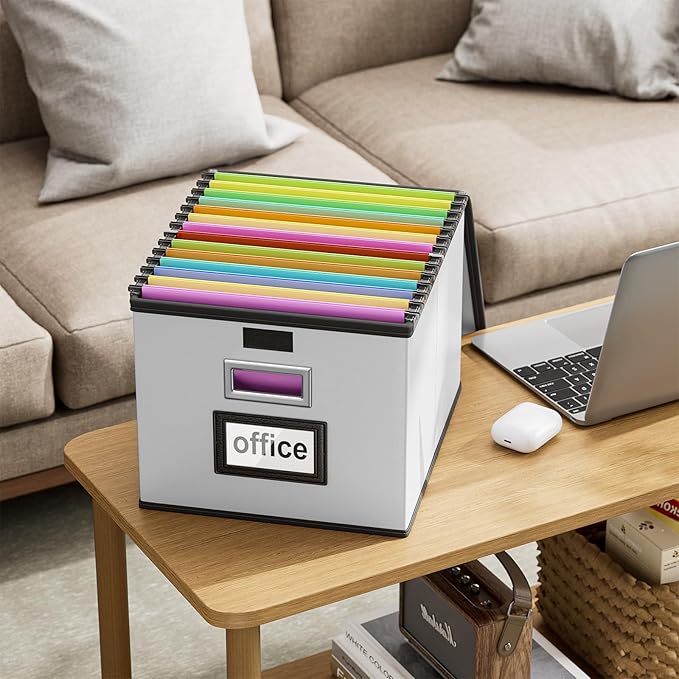 File Organizer Box with Lids, Collapsible File Folder Organizer | File Box with Plastic Slides for Document, Filing Bin for Letter Size Hanging File Folders (2 Pack, Silver, Leather)
