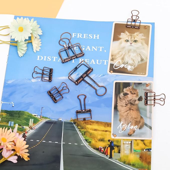 20 Pcs Hollow Out Long Tail Wire Binder Clips, 10 Medium + 10 Small | Red Bronze, Assorted Sizes, Hollow Binder Clamps, Paper Binder Clips for Office School Supplies