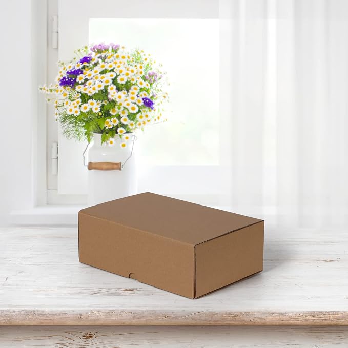 HORLIMER 9x6x3 inches Shipping Boxes Set of 25, Brown Corrugated Cardboard Box Literature Mailer