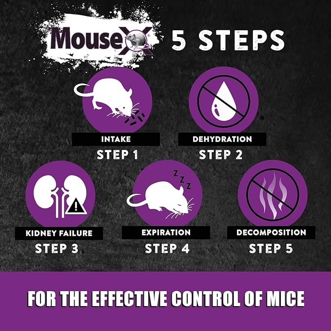 MouseX Throw Packs- for All Species of Rats Mice Safe Around Pets- Pack of 2