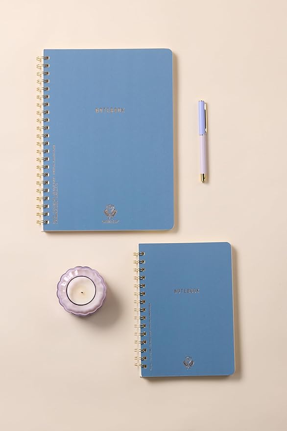 DesignWorks Ink Textured Paper Twin Wire Notebook, Daily Planner & Soft Cover Writing Journal, 160 Lined Perforated Pages, Small Spiral Notebook for Work & Journaling, 6 x 8.25 in, Classic Blue