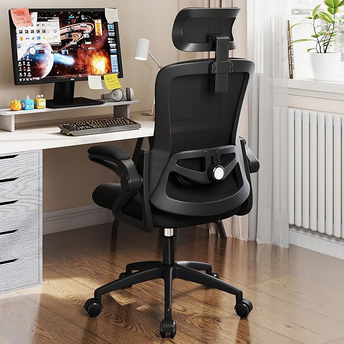 Fizzin Office Chair Mesh Computer Chairs with Adjustable Lumbar Support | Ergonomic Office Chair, Home Office Desk Chairs with Thickened Cushion and Headrest, Comfy Gaming Chair (Deep Black)