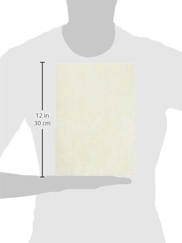 Japanese Rice Paper Printable A4 Size Paper (30 Sheets), Multipurpose Copy Paper for Laser and Inkjet Printers, Made in JAPAN, Natural Color