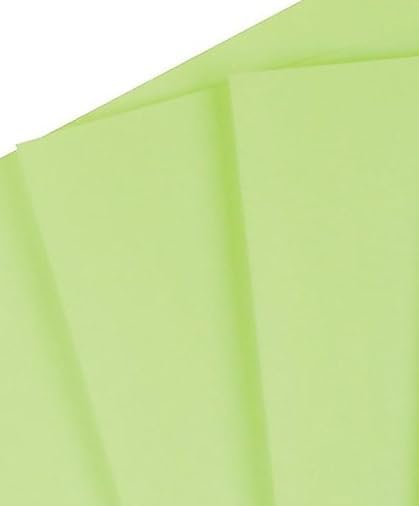 Staples Brights Colored Paper 8 1/2-Inch x 11-Inch Green Ream, For Office, School & Home