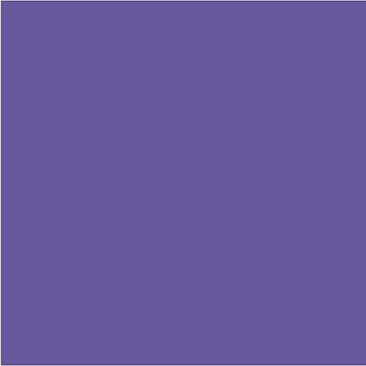 Elmer's Disappearing Purple School Glue Sticks, Washable, 22 Grams, 3 Count - Poster, Vision Board, Back to School Supplies, #1 Teacher Brand (Pack of 2)