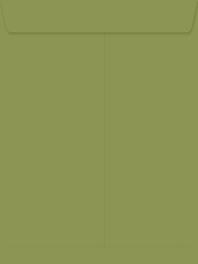 LUXPaper 9 x 12 Open End Envelopes | Peel & Press | Avocado Green | 70lb. Text | 500 Qty