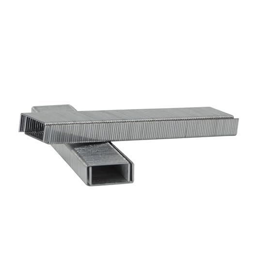 Rayson Heavy Duty Staples, Enhanced 1/4" Leg Length, 1/2" Width, 2000 Staples (30 Sheets)