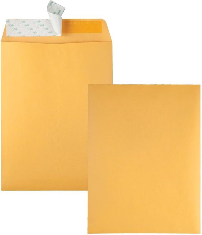 Quality Park 9" x 12" Self-Seal Catalog Envelopes, for Mailing, Organizing and Storage, Brown Kraft, Heavy 28-lb Paper, 100 Per Box (QUA44562) (Pack of 2)