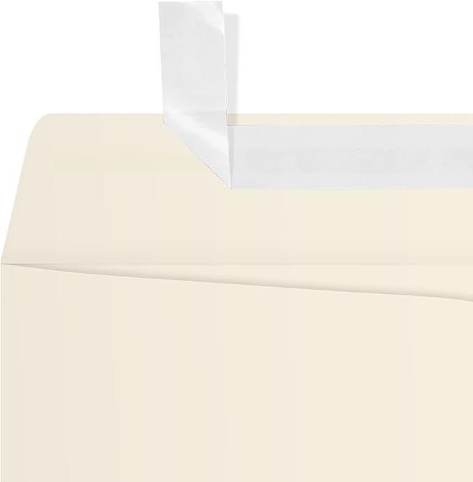 LUXPaper 9 x 12 Open End Envelopes | Peel & Press | Natural | 70lb. Text | 250 Qty