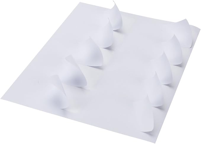 10 Up - Shipping Address Labels - 2" x 4" - 250 Labels