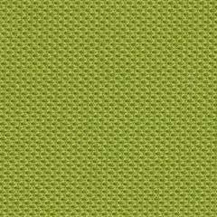 Steelcase Gesture Office Chair - Cogent: Connect Wasabi Fabric, Low Seat Height, Wrapped Back, Dark on Dark Frame, Lumbar Support