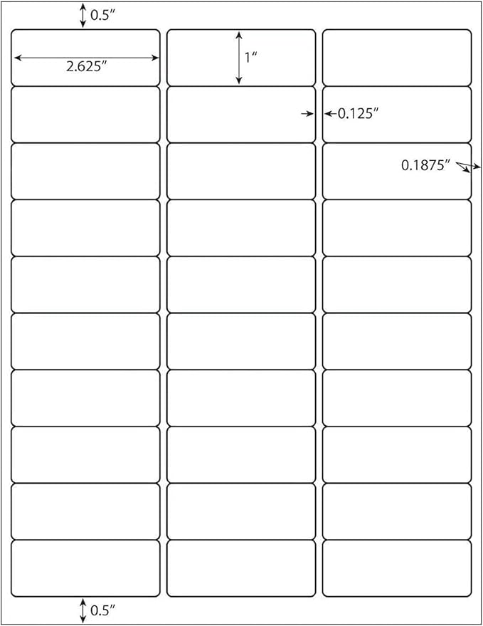 LabelMore 30 up Labels 1" X 2-5/8" Shipping Address FBA Label for Laser and Inkjet Printers (10000 Sheets / 300000 Labels)