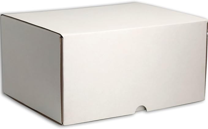 12x8x6 Shipping Boxes White Mailer Corrugated Cardboard Box Set of 15 | for Packaging, Literature, Packing, Mailing, Storage, Small Business, Moving, Gift, Supplies, Quick Fold, Tab Locking