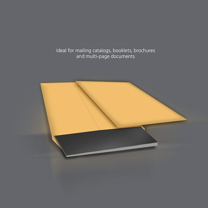 Amazon Basics Catalog Mailing Envelopes,Peel and Seal,10x13 Inch,Brown Kraft,250 Count (Pack of 2)