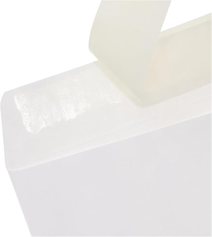 Amazon Basics Catalog Self Seal Envelopes for Documents, Booklets, Mailers, 10x13 Inch, 28 lb, White, 250 Count (Pack of 2)