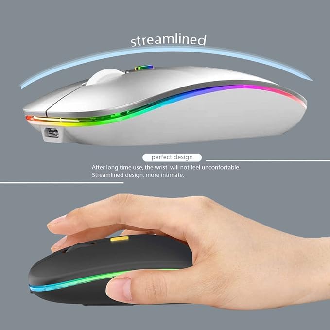 Wireless Bluetooth Mouse Rechargeable Laptop Mice with LED Lights Silent Slim Use(BT5.2 and 2.4G Portable USB Receiver)Dual Mode Computer Mouse for Laptop/iPad/Tablet/Apple/Computer/Mac(Silver)