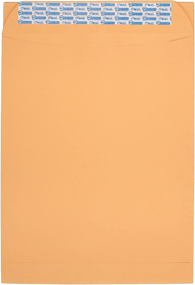 Mead Press-It Seal-It Envelopes, 10 x 13 Inches, Office Pack 20 Count (76088)