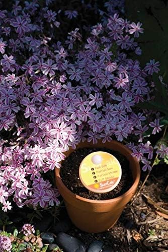 Luster Leaf 1875 Rapitest SunCalc Sunlight Calculator for Gardens – Measures Full Sun, Partial Sun, Partial Shade, and Full Shade. Designed and Engineered in The USA.
