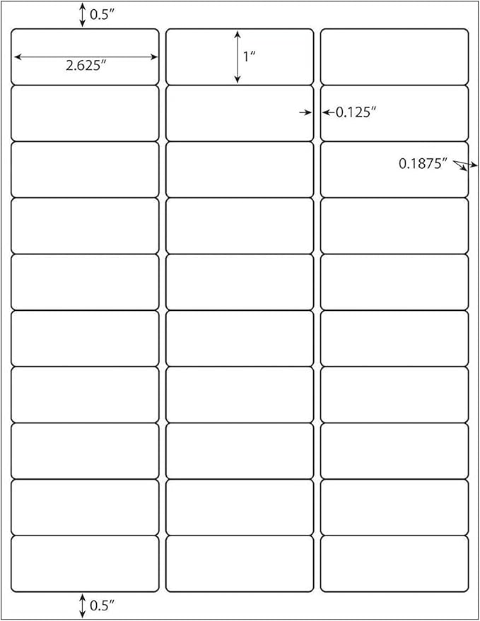 LabelMore 30 up Labels 1" X 2-5/8" Shipping Address FBA Label for Laser and Inkjet Printers (1,000 Sheets, 30,000 Labels)