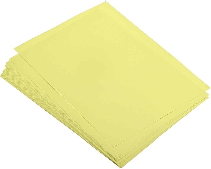 MECCANIXITY 100 Sheets Colored Copy Paper 8.3 x 11.7 Inch Printer Paper 80gsm Light Yellow for Office Printing, Document Copying, Invitations, Forms, Art Projects