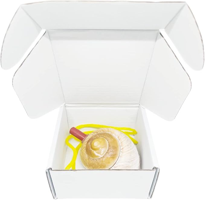 Small White Box 4 x 4 x 2 Inch 50 Pack Recyclable Corrugated Gift Mailers Storage Business Packaging Shipping Boxes