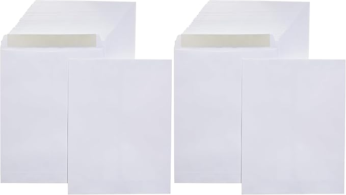 Amazon Basics Catalog Mailing Envelopes, Peel and Seal, 10x13 Inch, White, 250 Count (Pack of 2)