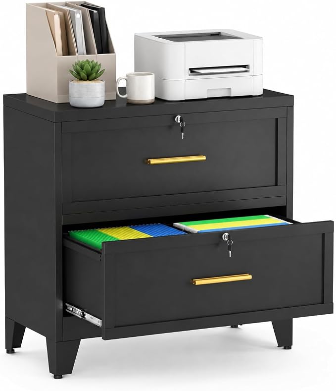 2 Drawer Metal Lateral File Cabinet with Lock for Home Office | Fits Letter, Legal, A4 and F4 hanging folders, individual drawer locks, adjustable feet, anti-tip design, 28.94"W x 33.46"H