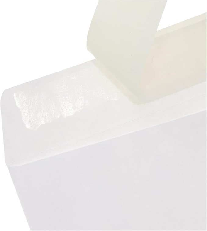 Amazon Basics Catalog Mailing Envelopes, Peel and Seal, 10 x 13 Inch, White, 200-Pack