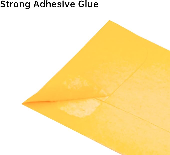 ESSENTIAL #1 1000 Piece Coin Envelopes 2.25" x 3.5" with Gummed Flap, Small Parts Envelope for Home and Office Use (Yellow -1000)