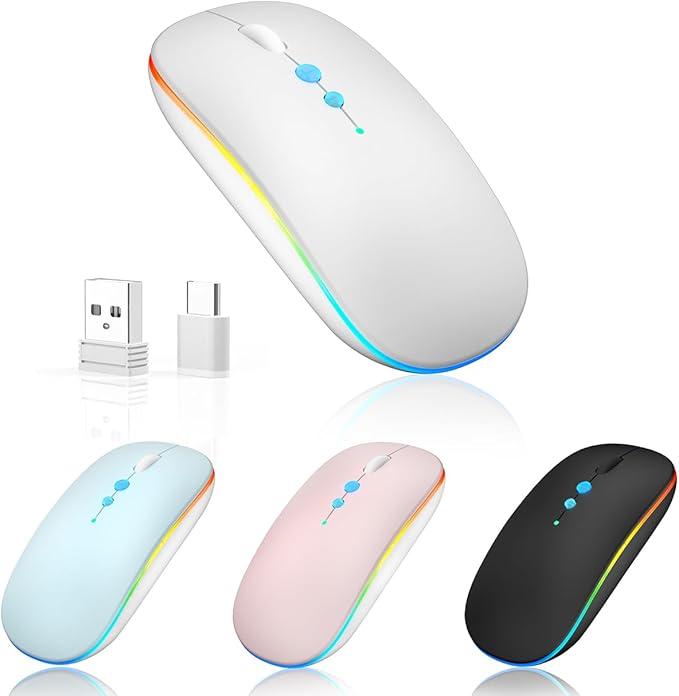 LED Wireless Mouse A100S Rechargeable Portable Silent Mouse with Optional USB and Type-C Receiver 3-Speed Adjustable DPI for PC/Mac/Laptop (Frosted Silver)