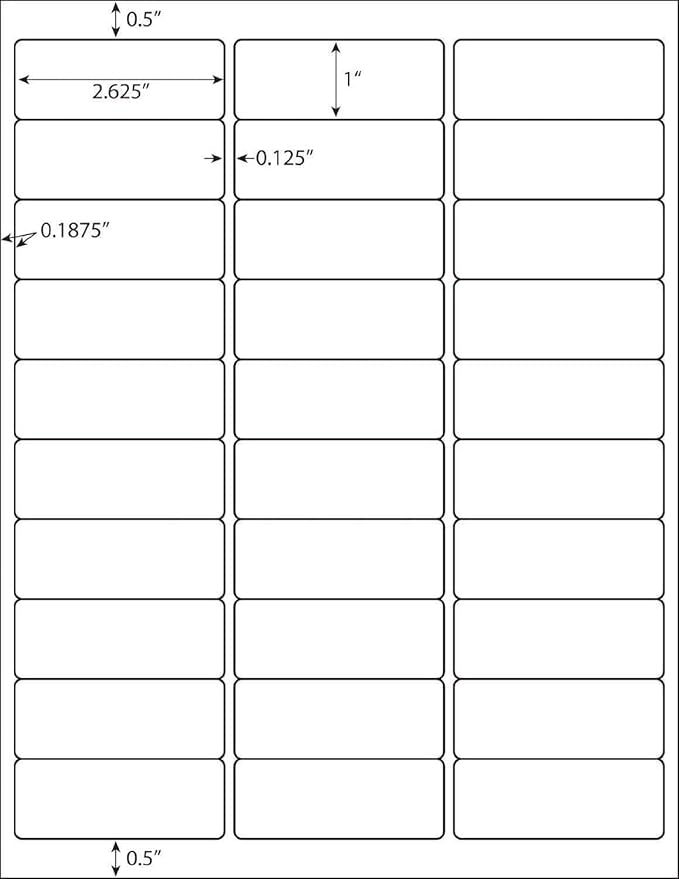 30 up Label 1" x 2-5/8" Shipping Address Labels, FBA Barcode Sticker, 100 Sheets 30 Per Page Mailing Label for Laser/Inkjet Printers (3000 Labels)
