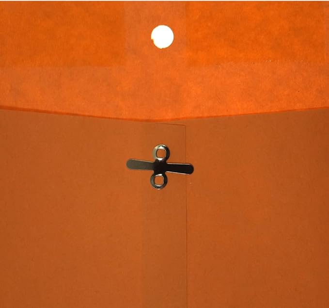 Top Flight Clasp Envelopes, Gummed and Clasped Closure, 6 x 9 Inches, Brown Kraft, 25 Envelopes per Pack (6911114)