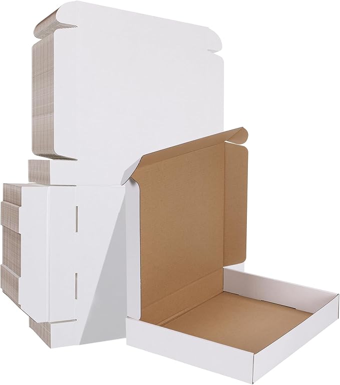 HORLIMER 12x10x2 inches Shipping Boxes Set of 25, White Corrugated Cardboard Box Literature Mailer