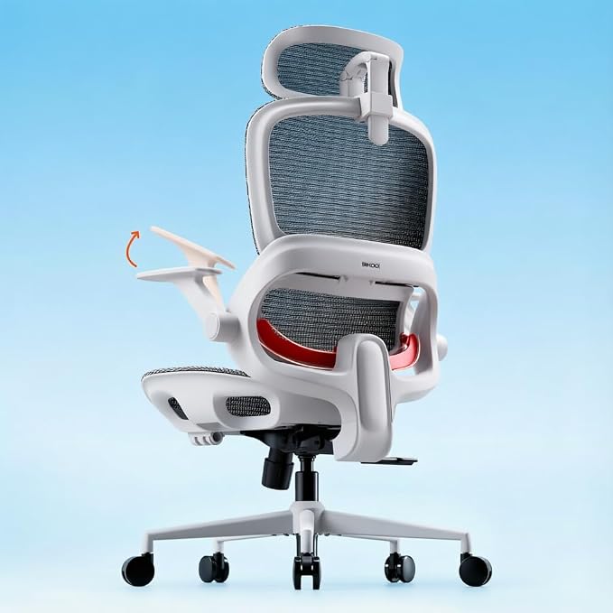 SIHOO B100 Mesh Office Chair, Comfy Ergonomic Office Chair | Mesh Office Chair with Adaptive Lumbar Support, Desk Chair with Wide Headrest, 300 LBS Grey