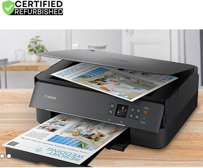 Canon PIXMA TS6420a All-in-One Wireless Color Printer with Print, Scan, Copy, Photo Print & Mobile Functions (Renewed) Bundle with DGE USB Cable + Small Business Productivity Software Kit