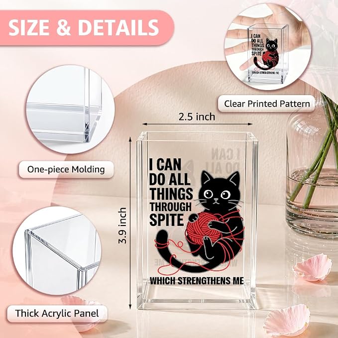Funny I Can Do All Things Through Acrylic Pencil Holder Cup Gifts | Which Strengthens Me, Cat Pen Holder Gifts for Coworker Boss Friend Teacher Nurse, Sarcastic Desk Organizer for Cat Lover