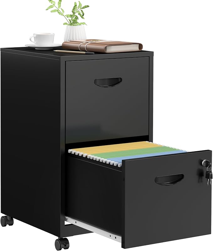 SteeLoong 2 Drawer File Cabinet,Metal Mobile File Cabinet with Lock Black | Filing Cabinet with Wheel,Vertical File Cabinet for Home Office,Under Desk Rolling File Cabinets for Hanging Letter/A4