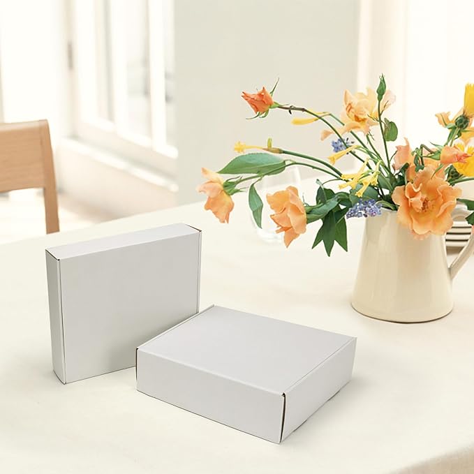 HORLIMER 11x9x3 inches Shipping Boxes Set of 25, White Corrugated Cardboard Box Literature Mailer